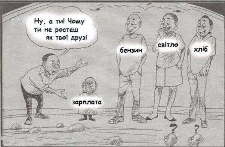 Появилась меткая карикатура о зарплатах и ценах в Украине. ФОТО
