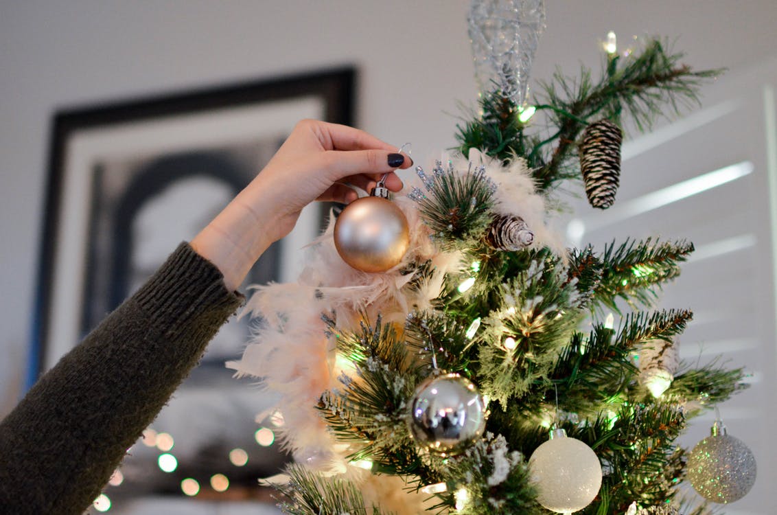В Германии семья украсила дом 350 рождественскими елками