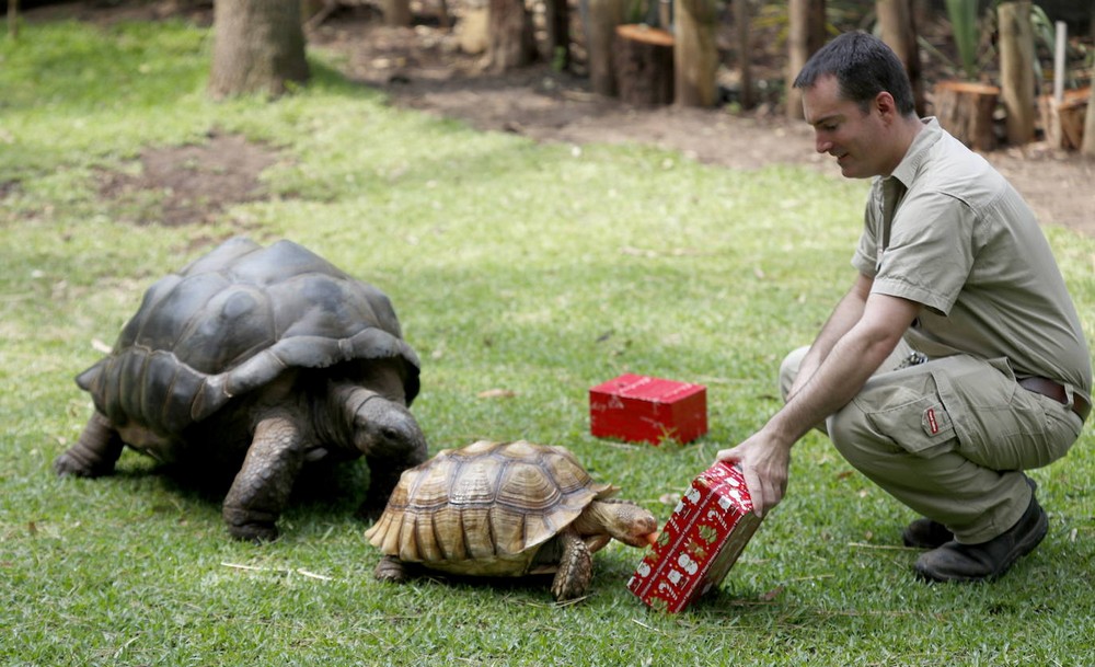 Обитатели австралийского зоопарка получили рождественские подарки
