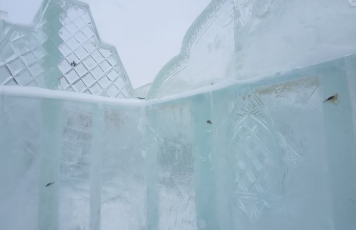 В России построили ледовый городок из глыб с вмерзшими рыбами. ФОТО