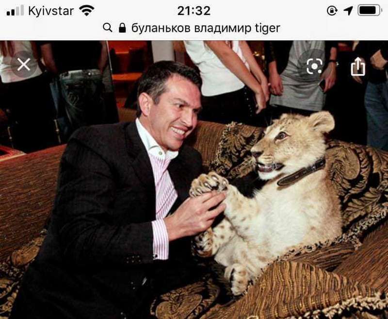 В Киеве в заброшенном клубе обнаружили тигров. Видео