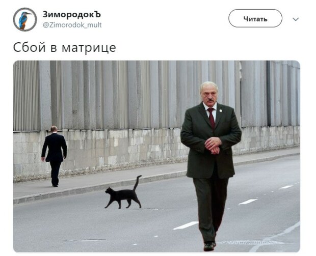 В сети высмеяли фотожабой отношения Путина и Лукашенко