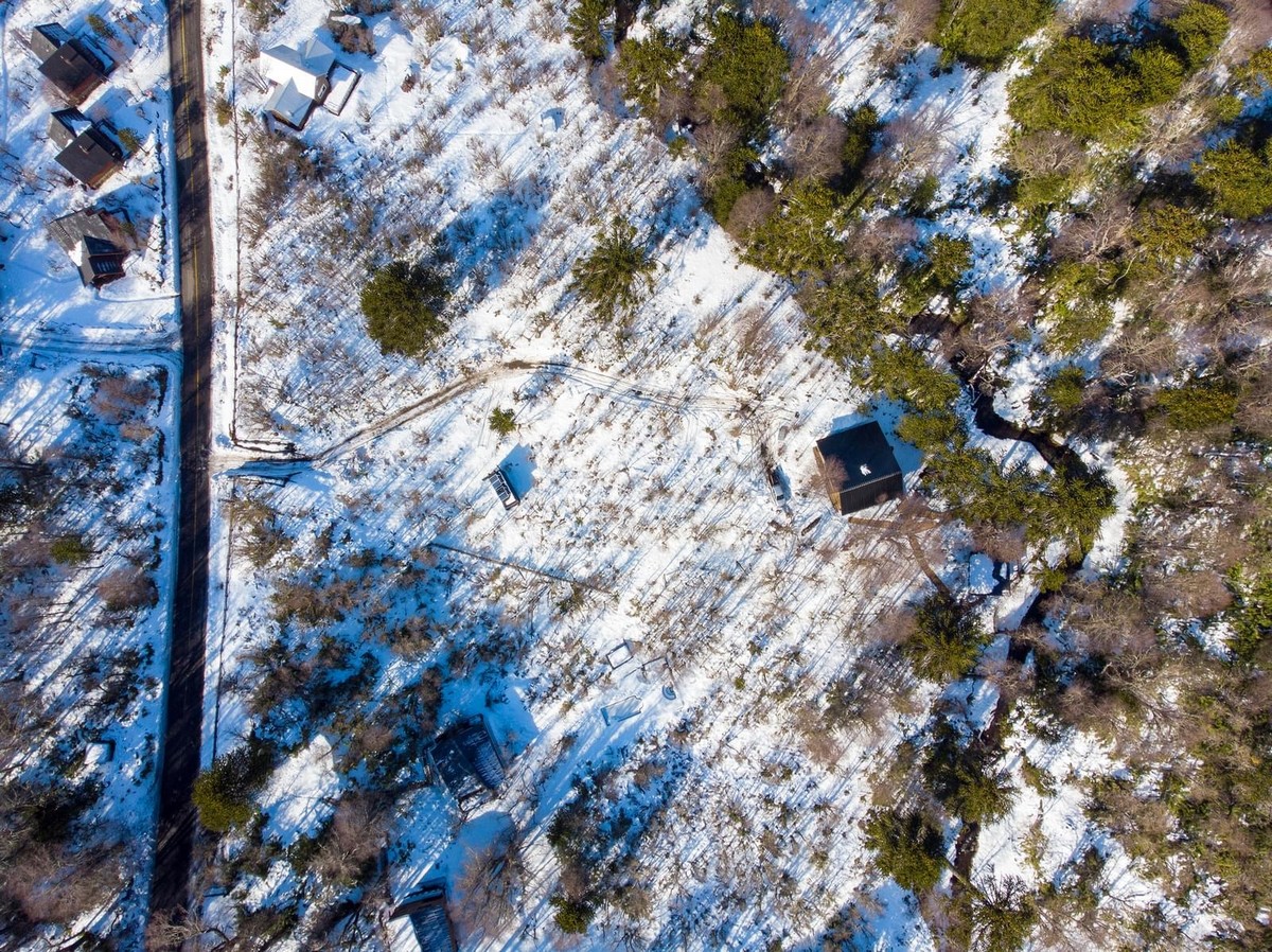 Загородный дом в лесу Чили