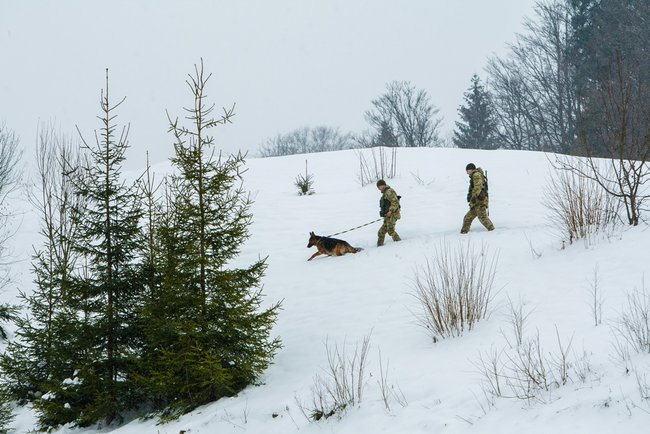В новогоднюю ночь границу Украины охраняли 3,5 тыс. пограничных нарядов, - Госпогранслужба 03
