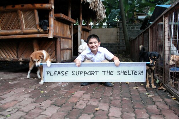 На Филиппинах 9 летний мальчик открыл приют для собак, потратив все карманные сбережения