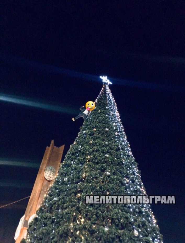В Мелитополе мужчина залез на городскую елку. ВИДЕО