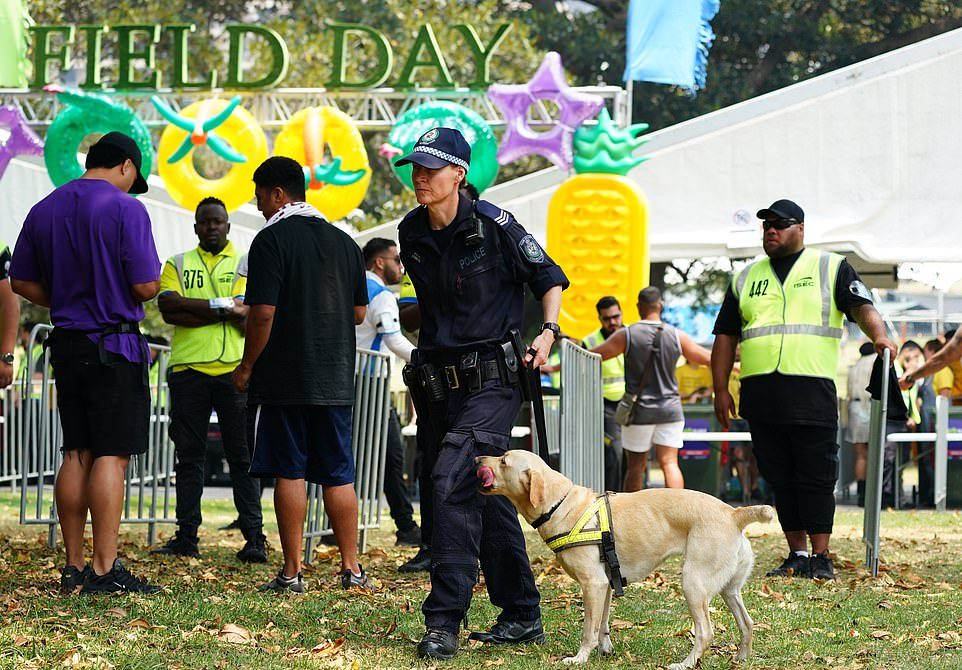 Яркие посетители музыкального фестиваля Field Day в Сиднее