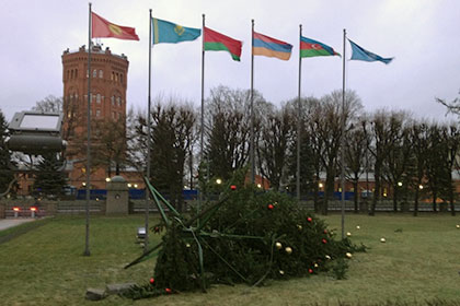 В Петербурге упала новогодняя елка