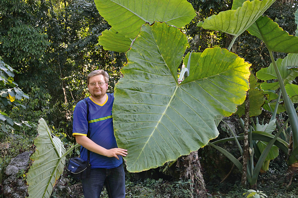 meksika, djungly, priroda