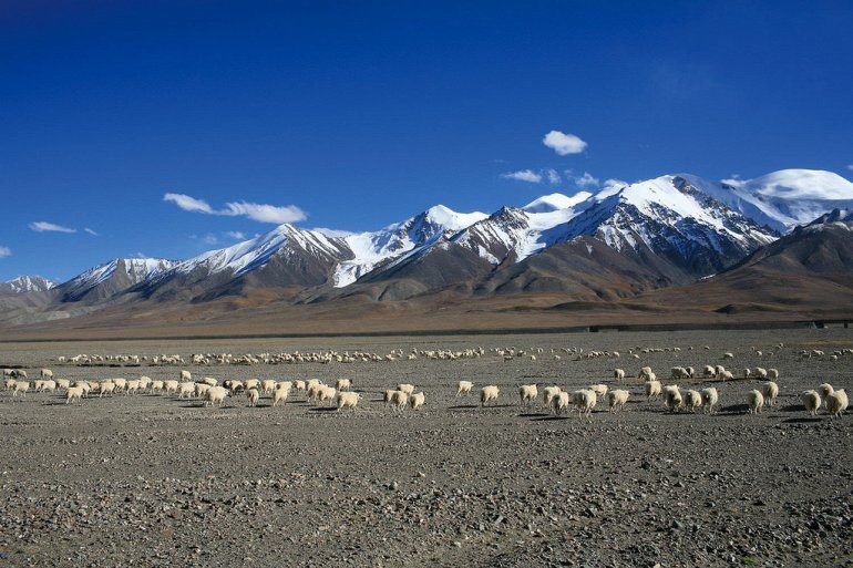 Цинхай-Тибет: самая высокая железная дорога