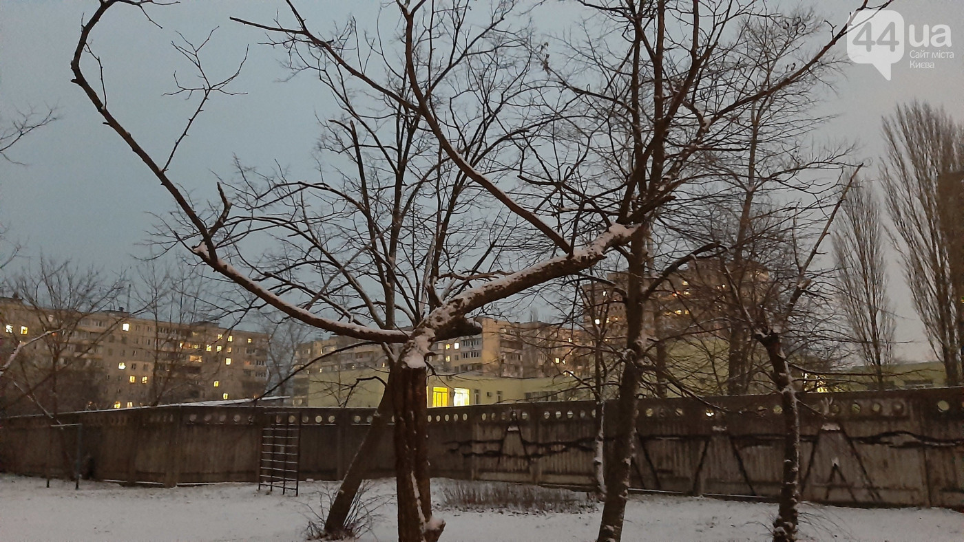 В Киеве выпал снег. ФОТО