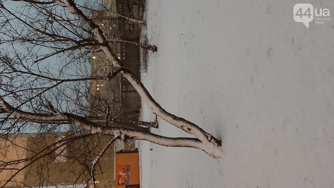 В Киеве выпал снег. ФОТО