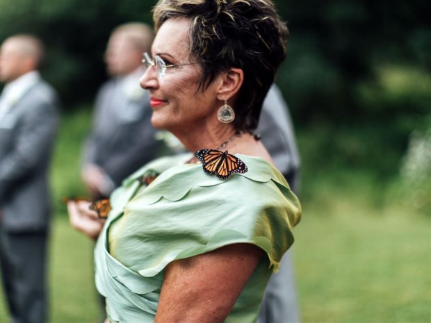 Родители новобрачных выпустили бабочек на свадьбе, но те преследовали их весь день. ФОТО
