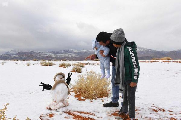 В пустыне Саудовской Аравии выпал снег: впечатляющие фото