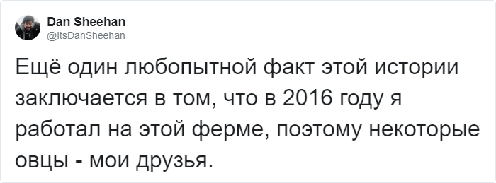 Американец заказал в интернете свитер как у Криса Эванса. Но оказалось, что связать его надо будет самостоятельно. ФОТО