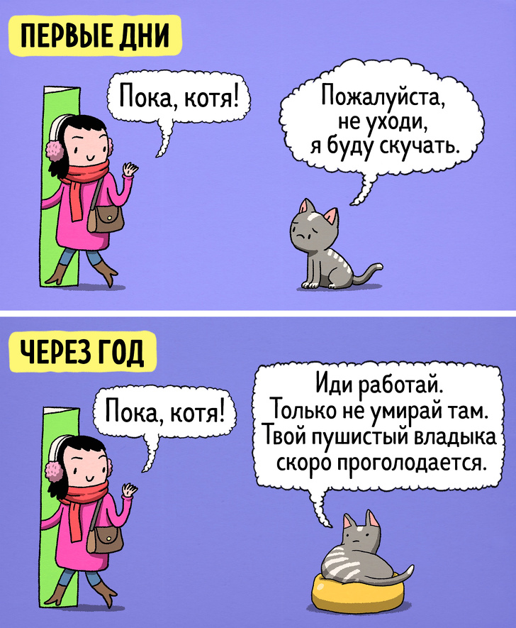 Комиксы о жизни с котом в первые дни и спустя год. ФОТО