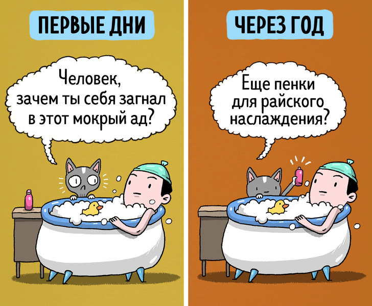 Комиксы о жизни с котом в первые дни и спустя год. ФОТО