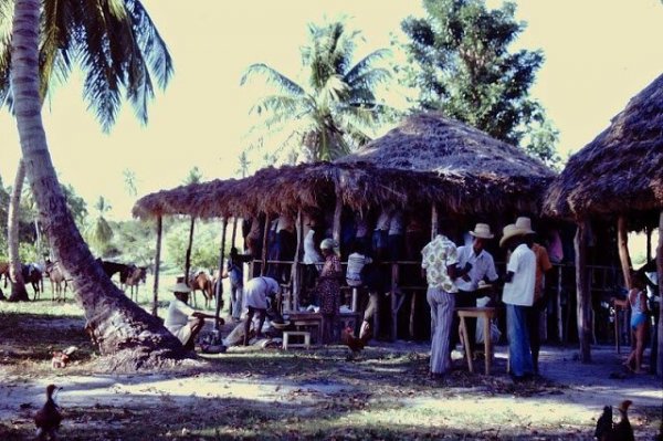 Повседневная жизнь Гаити в 1970-е на снимках