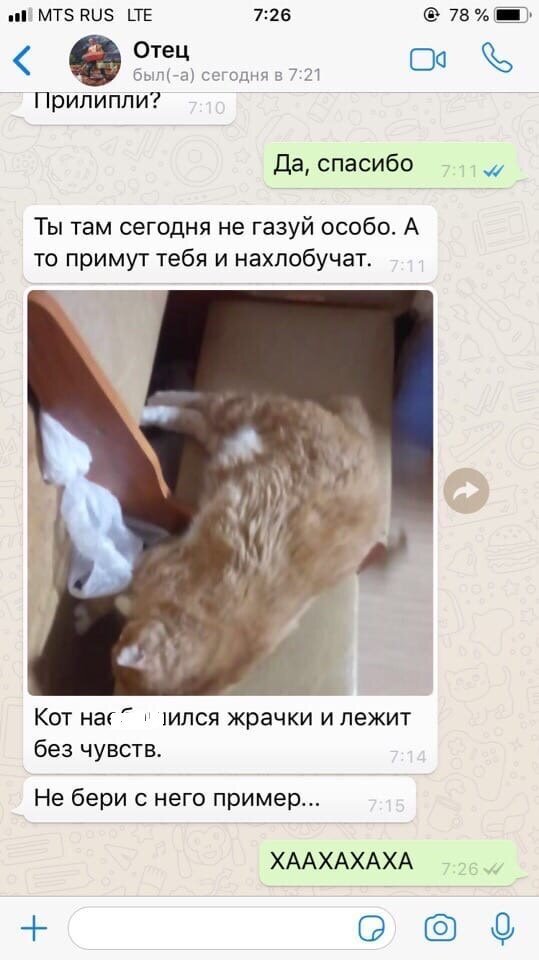 Забавные переписки между родителями и детьми