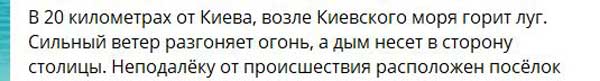 Крупный пожар под Киевом: горит луг, ветер разгоняет огонь и несет дым в столицу. ВИДЕО