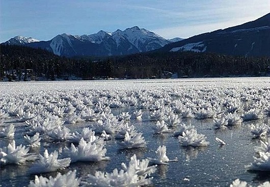 Удивительные тайны мирового океана