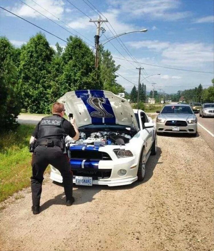 Полицейские будни в забавных снимках