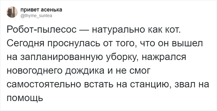 Пользователи Твиттера доказывают, что роботы-пылесосы похожи на котов, и делятся историями их косяков. ФОТО