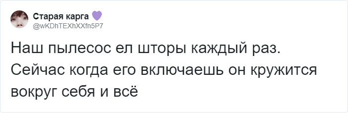 Пользователи Твиттера доказывают, что роботы-пылесосы похожи на котов, и делятся историями их косяков. ФОТО