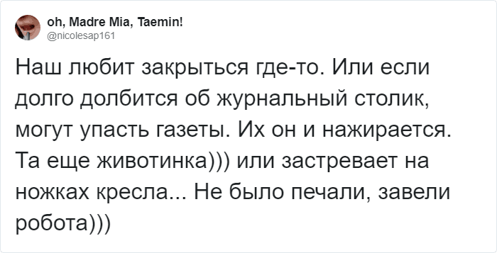 Пользователи Твиттера доказывают, что роботы-пылесосы похожи на котов, и делятся историями их косяков. ФОТО