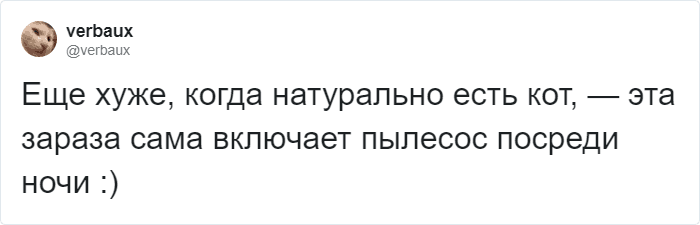 Пользователи Твиттера доказывают, что роботы-пылесосы похожи на котов, и делятся историями их косяков. ФОТО