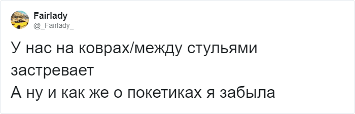 Пользователи Твиттера доказывают, что роботы-пылесосы похожи на котов, и делятся историями их косяков. ФОТО