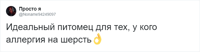 Пользователи Твиттера доказывают, что роботы-пылесосы похожи на котов, и делятся историями их косяков. ФОТО