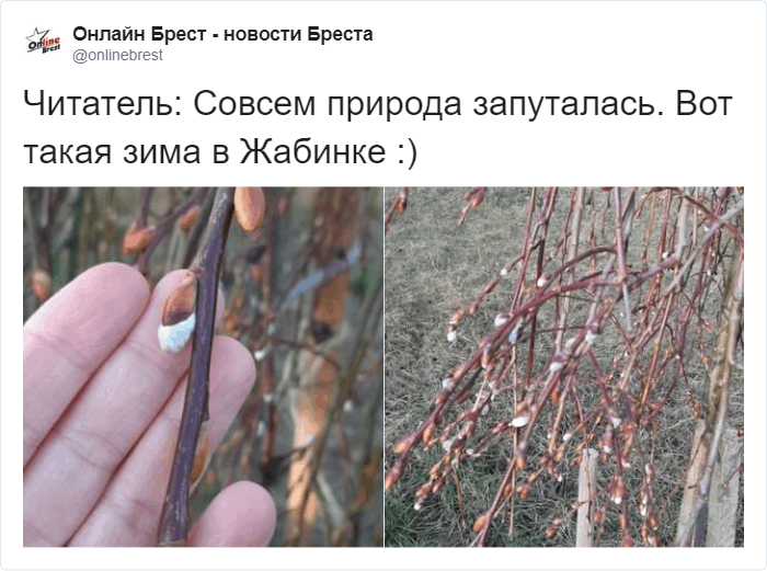 В соцсетях не перестают обсуждать аномальную зиму в России и делятся удивительными снимками из разных городов. ФОТО