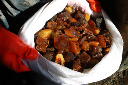 В Калининградской области нашли тайник с пятью тоннами янтаря