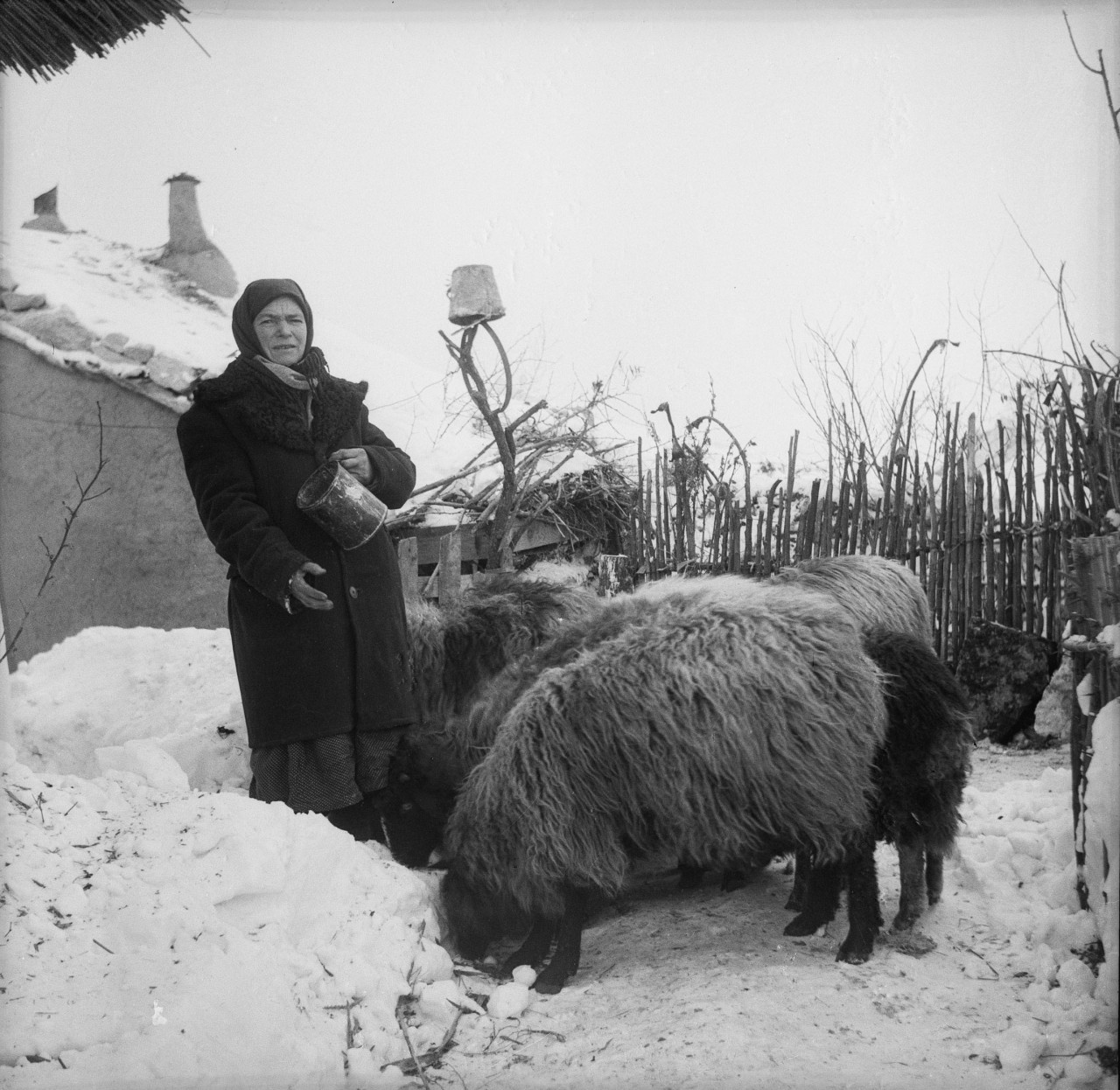 Архив снимков 1950-70-х годов молдавского фотографа Захарии Кушнира