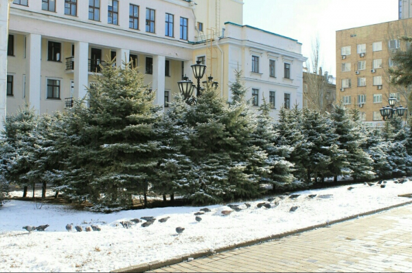 В сети показали фото оккупированного Донецка в снегу. ФОТО