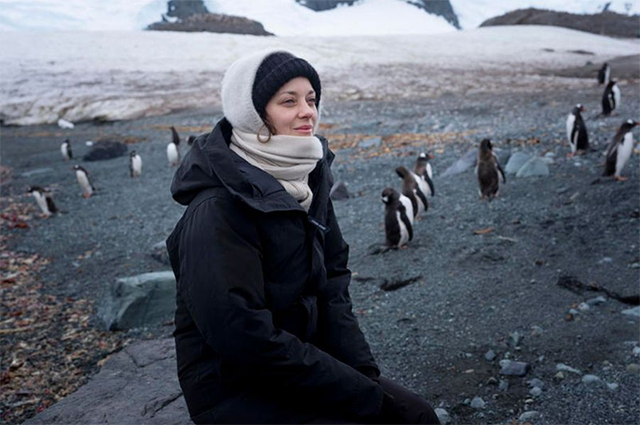 В компании пингвинов. Марион Котийяр показала фото из поездки в Антарктиду с Greenpeace. ФОТО