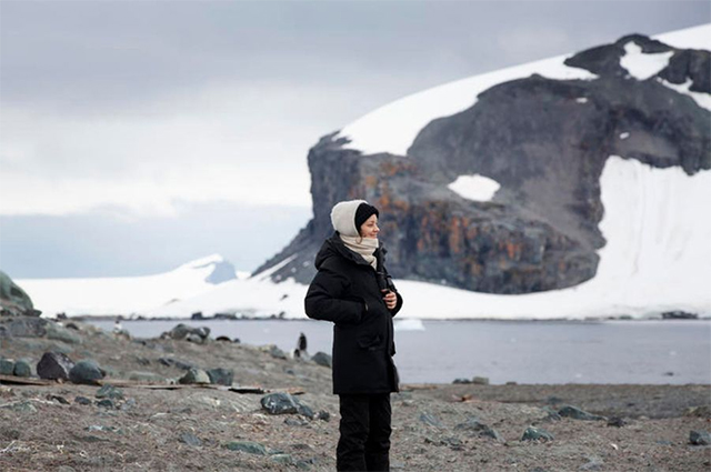 В компании пингвинов. Марион Котийяр показала фото из поездки в Антарктиду с Greenpeace. ФОТО