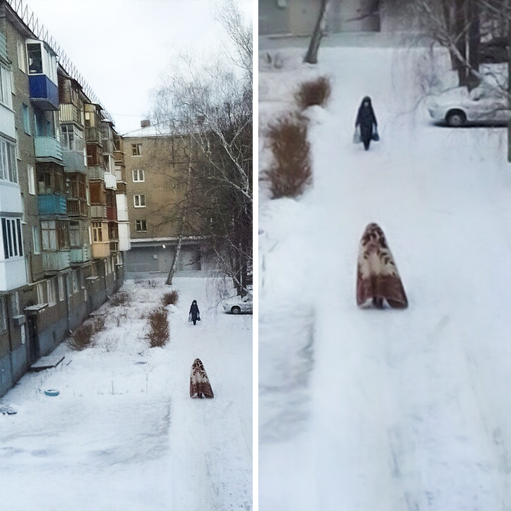 Ситуации, которые приняли совсем неожиданный поворот. ФОТО