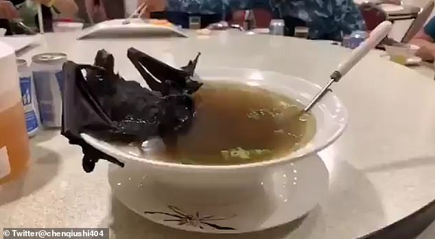 Китаянка ест летучую мышь целиком. ВИДЕО
