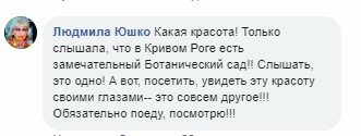 В ботсаду Кривого Рога распустились разноцветные азалии. ФОТО