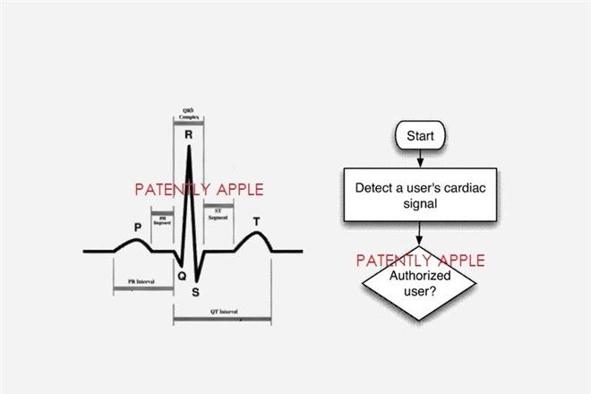 Apple запатентовала кардиодатчик