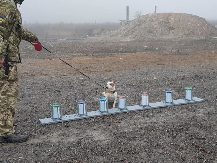 Пограничники показали, как проверяют навыки собак, служащих на КПВВ Донетчины. ФОТО