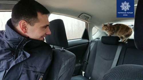 В машину киевских патрульных забрался необычный "клиент"