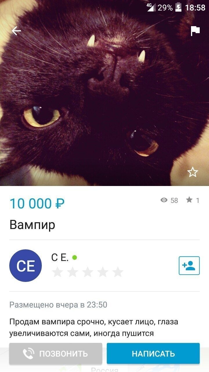 Прикольные объявления с Avito