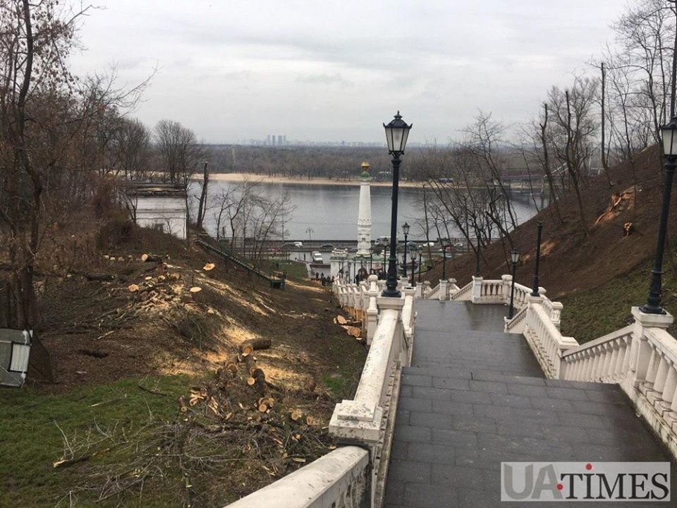 В заповедной зоне в центре Киева вырубают деревья: в сети показали фото