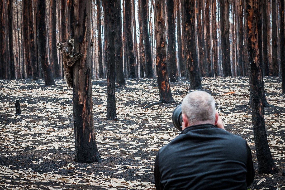 Фотограф документирует последствия пожаров в Австралии. ФОТО