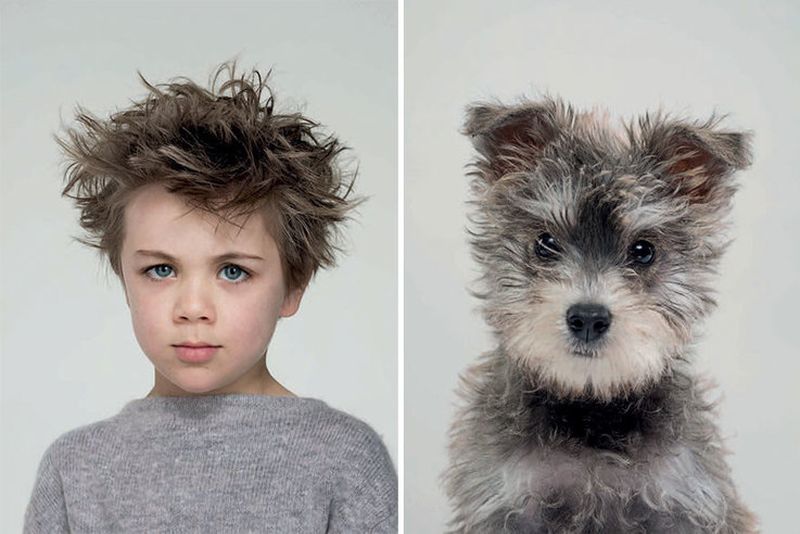 Британский фотограф показал, как собаки похожи на своих хозяев. ФОТО