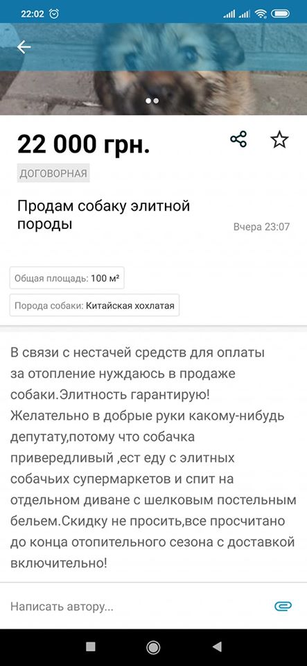 Курьёз: запорожцы продают своих собак на частных сайтах, чтобы “заплатить за газ”. ФОТО