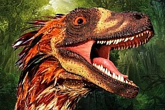 Перья были для динозавров скорее исключением, чем правилом
